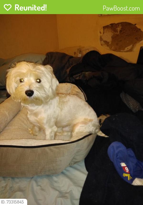 Reunited Male Dog last seen Near nw 10 st, Pembroke Pines, FL 33024