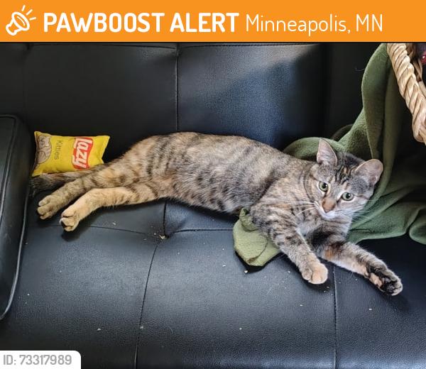 Found/Stray Female Cat last seen 34th and Russell Ave North Minneapolis, Minneapolis, MN 55412