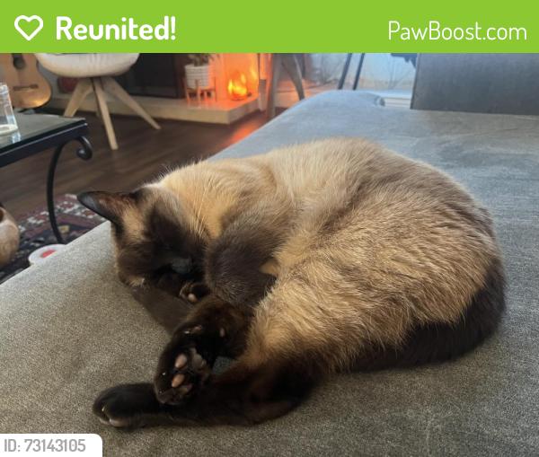 Reunited Male Cat last seen El centro, South Pasadena, CA 91030