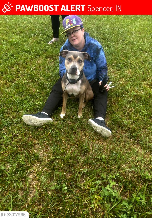 Lost Female Dog last seen Na, Spencer, IN 47460