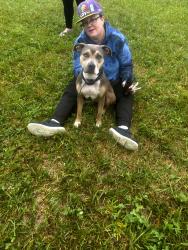 Lost Female Dog last seen Na, Spencer, IN 47460
