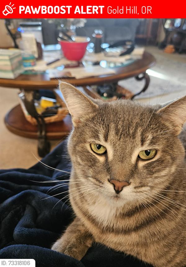 Lost Male Cat last seen Foots Creek/Abby ln, Gold Hill, OR 97525