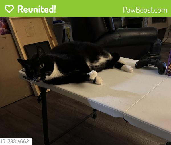 Reunited Male Cat last seen S Field Street and Estes, Lakewood, CO 80226