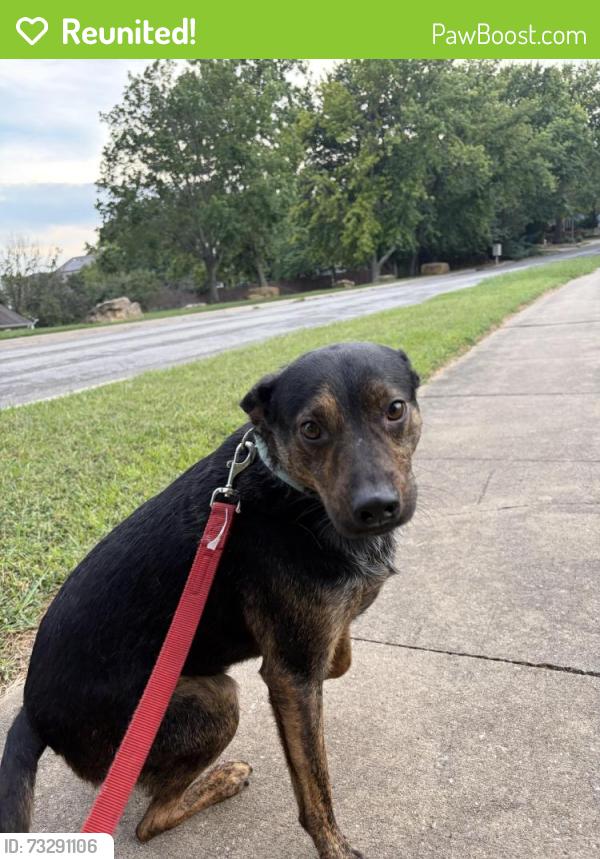 Reunited Male Dog last seen Wimbledon Dr and Inverness, Lawrence, KS 66047