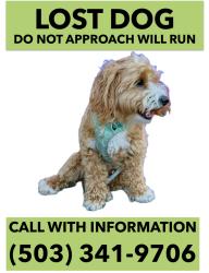Reunited Male Dog last seen Capitol hwy and marigold, Portland, OR 97219