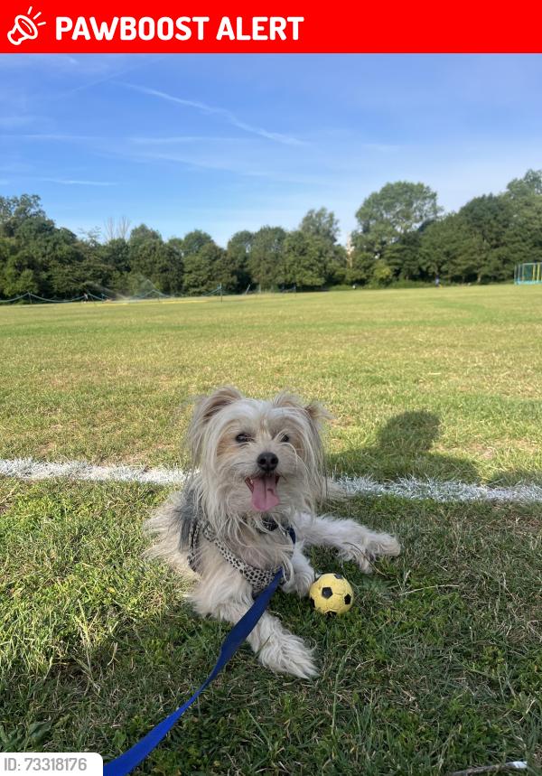 Lost Male Dog last seen Rail tracks that back on to cherry tree woods and Great North Road, Greater London, England N2 9QH