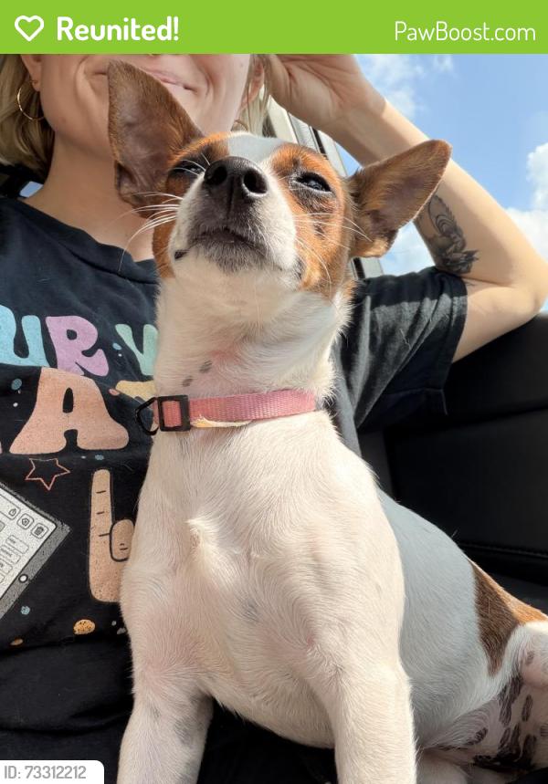 Reunited Female Dog last seen Eakin rd, Columbus, OH 43204
