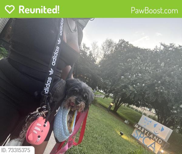 Reunited Female Dog last seen Kenwood ave, Baltimore, MD 21206