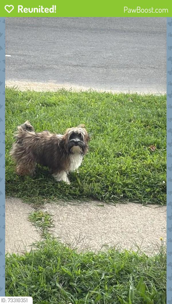 Reunited Male Dog last seen Eastman and dowey, Rochester, NY 14615