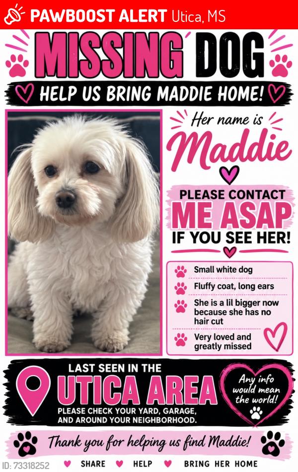 Lost Female Dog last seen Chapel hill, Utica, MS 39175