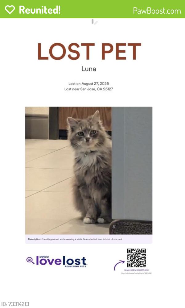 Reunited Female Cat last seen Alum Rock, San Jose, CA 95127
