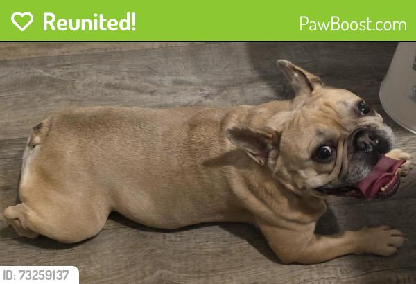 Reunited Female Dog last seen The Arboretum, Leland, NC 28451