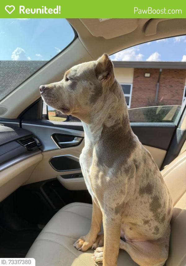 Reunited Female Dog last seen Near Eagle Rock Rd intersection, Turnipseed Rd, NC 27591