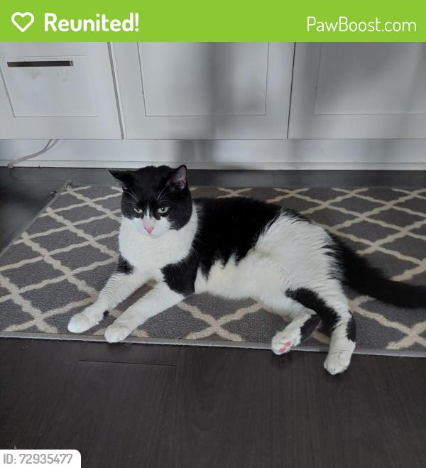Reunited Female Cat last seen S Navajo St and W Quincy Ave, Englewood, CO 80110