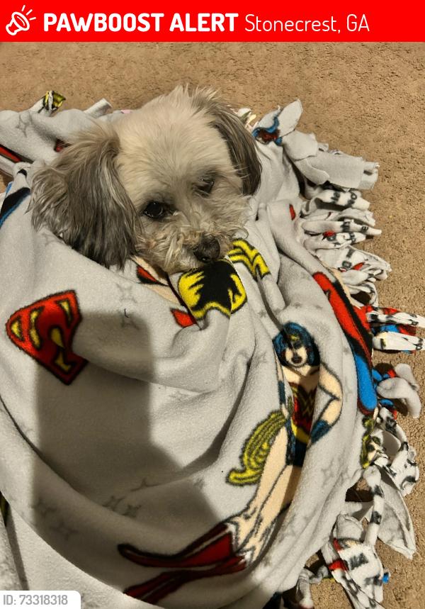 Lost Male Dog last seen Klondike, Stonecrest, GA 30038