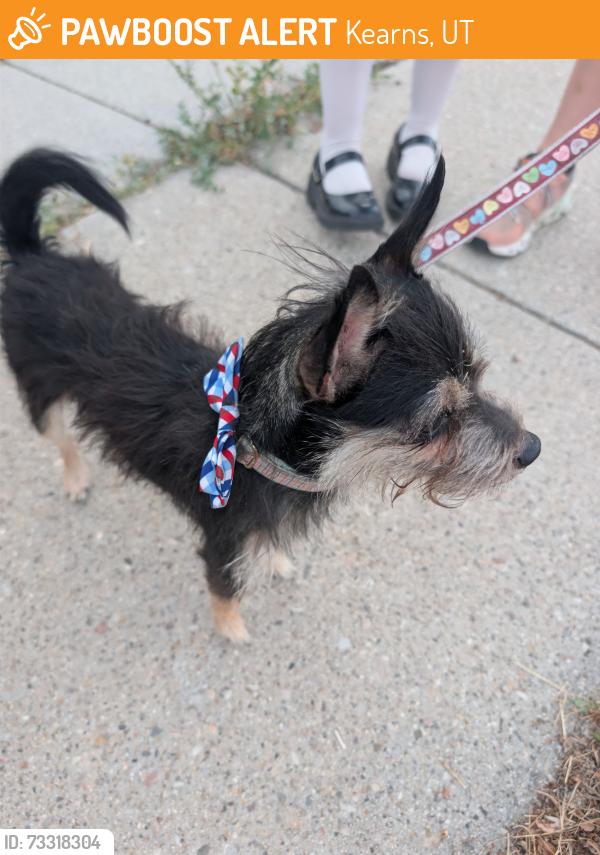 Found/Stray Male Dog last seen 4775s 4420w, Kearns, UT 84118