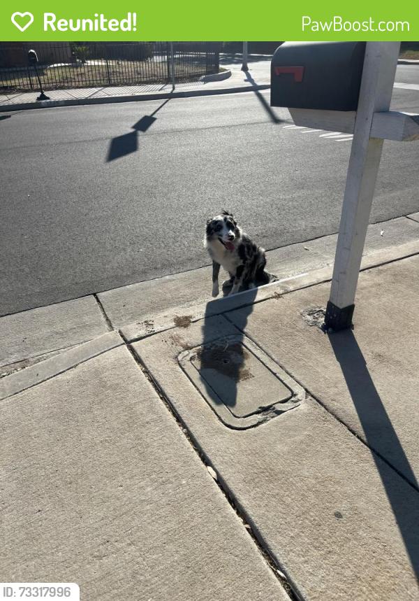 Reunited Unknown Dog last seen Tyler, Riverside, CA 92503
