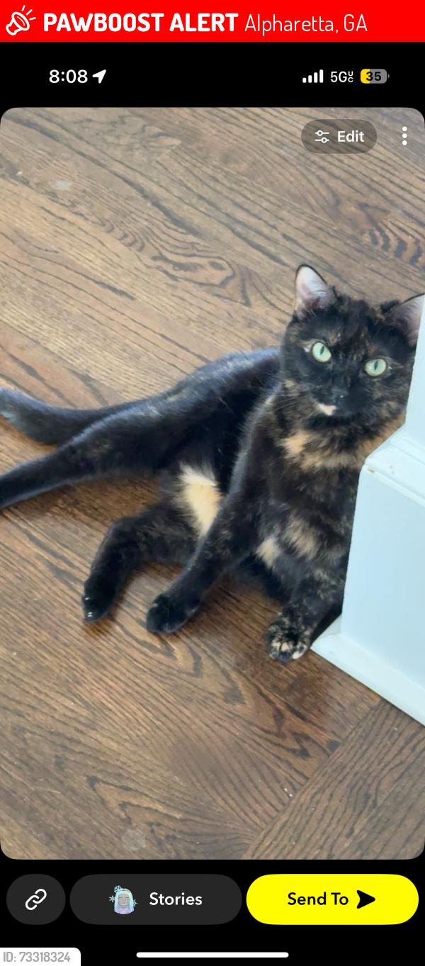 Lost Female Cat last seen Near Karen Drive, Alpharetta, GA 30009
