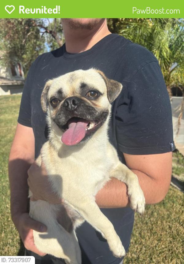 Reunited Male Dog last seen Pio pico, Temecula, CA 92592