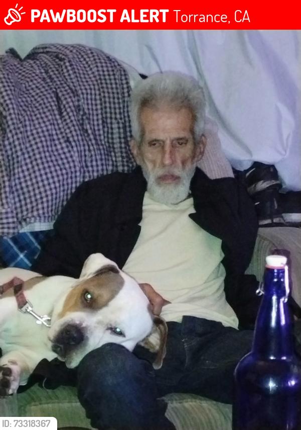 Lost Male Dog last seen Torrance blvd, Torrance, CA 90503