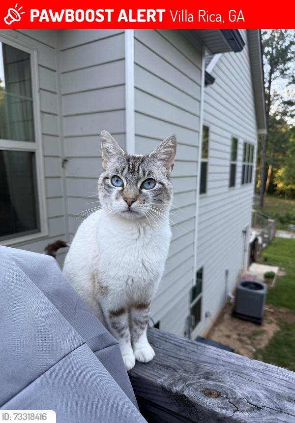 Lost Female Cat last seen Highpoint Rd, Villa Rica, GA 30180