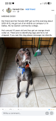 Lost Male Dog last seen Dallas, NC, Dallas, NC 28034