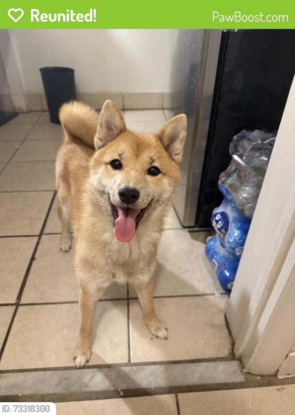 Reunited Female Dog last seen Edgewater drive and Orange Blossom Trail, Orlando, FL 32810