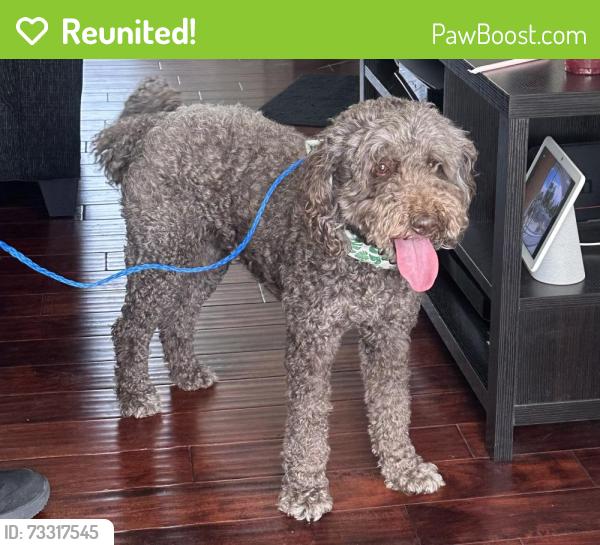 Reunited Female Dog last seen W Alaska Pl & S Pecos St, Denver, CO 80223
