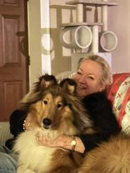 Reunited Male Dog last seen Green Bay Road and Westleigh, Lake Forest, IL 60045