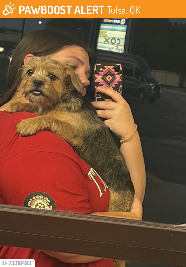 Found/Stray Female Dog last seen Quaker next to Highway I 44, Tulsa, OK 74105