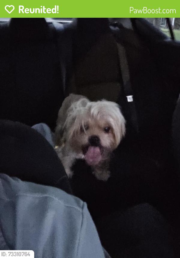 Reunited Male Dog last seen Near Braeburn Valley Baptist Church, S Braeswood Blvd, Houston, TX 77071
