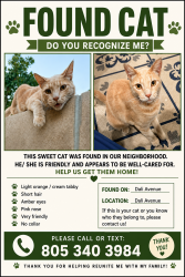Found/Stray Unknown Cat last seen Brimhall-Allen-Jenkins, Bakersfield, CA 93314