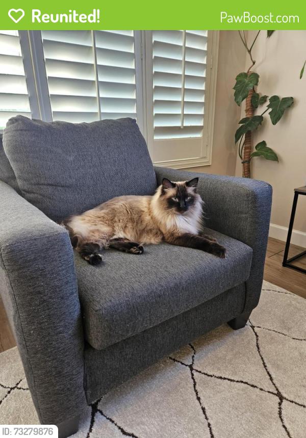 Reunited Male Cat last seen Browning Ave S and Cloudview Dr S, Salem, OR 97302