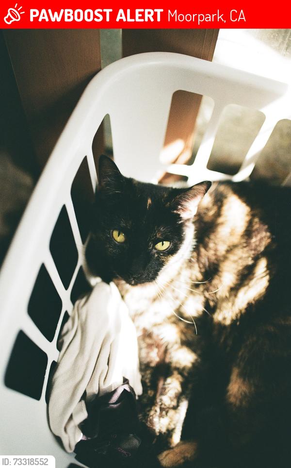 Lost Female Cat last seen Moorpark, CA Peach Hill Road, Moorpark, CA 93021