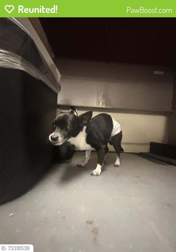 Reunited Unknown Dog last seen Near Seascape Resort Dr, Aptos, CA 95003, USA, Aptos, CA 95003