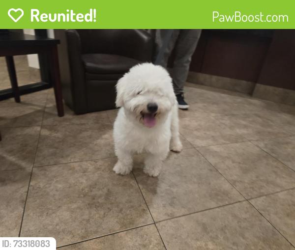 Reunited Male Dog last seen West gate park, west palm beach, FL, 33409, West Palm Beach, FL 33409