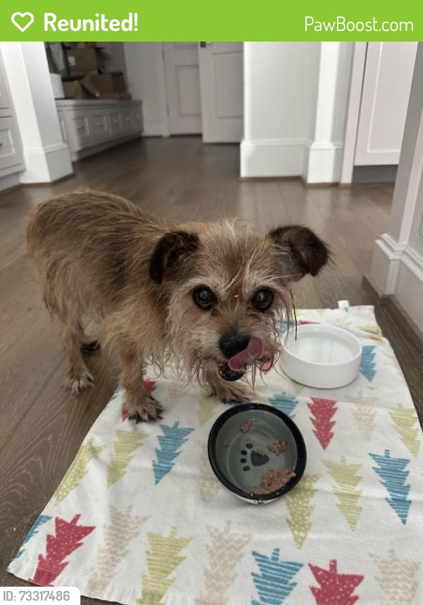 Reunited Male Dog last seen Emancipation Blvd near TSU, Houston, TX 77004
