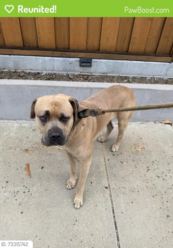 Reunited Male Dog last seen Near Hyde Park Dr, San Jose, CA 95136, USA, San Jose, CA 95136