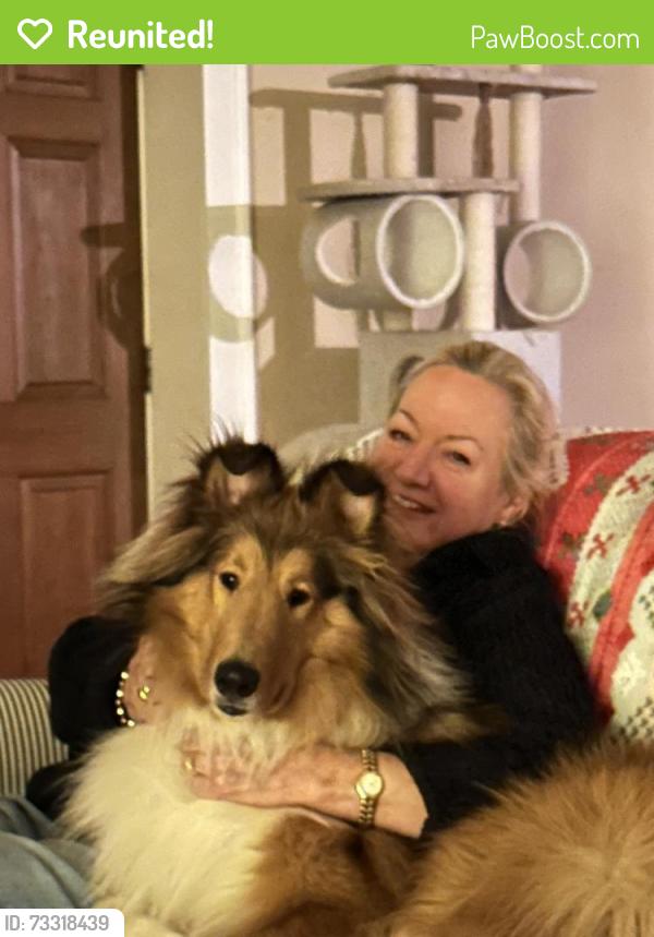 Reunited Male Dog last seen Green Bay Road and Westleigh, Lake Forest, IL 60045