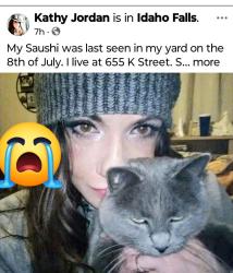 Lost Female Cat last seen Mound and Sage, Washington, DC 20001
