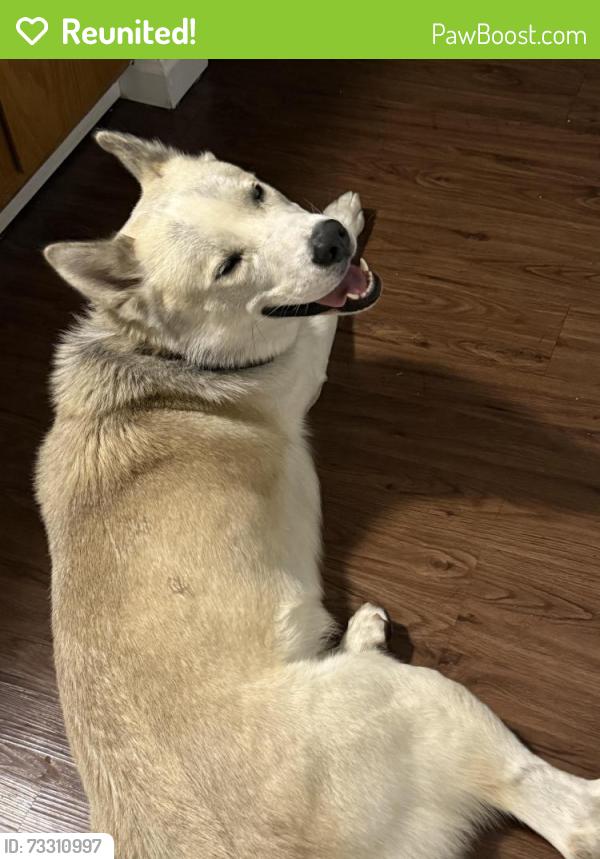 Reunited Male Dog last seen In Sun Valley at the Sun Valley Youth Center, Denver, CO 80204