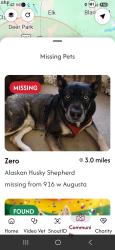 Lost Male Dog last seen Monroe and nw blvd, Spokane, WA 99205