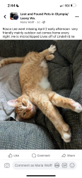 Lost Male Cat last seen South Bay rd, Olympia, WA 98506