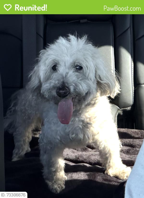 Reunited Unknown Dog last seen S. Broadway ave & Alondra Blvd., West Rancho Dominguez, CA 90248