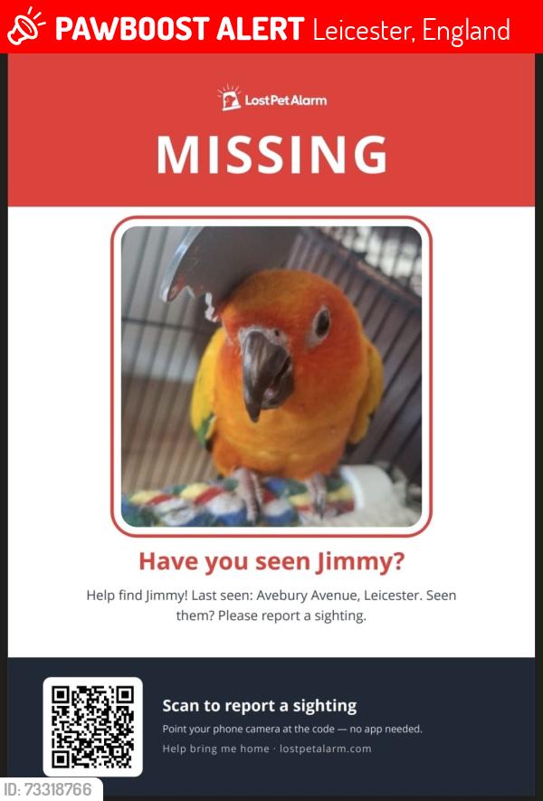 Lost Unknown Bird last seen Alderman Richard Hallam school, Leicester, England LE4 0FN