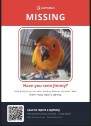 Lost Unknown Bird last seen Alderman Richard Hallam school, Leicester, England LE4 0FN