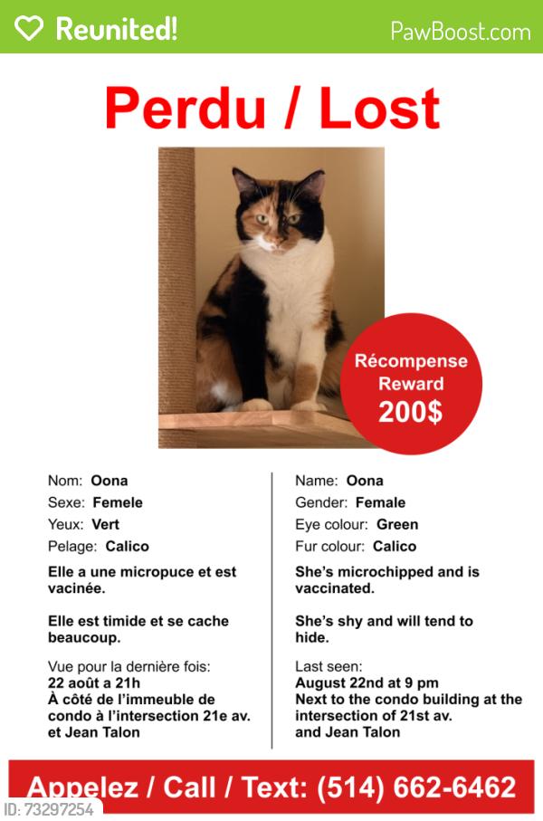 Reunited Female Cat last seen Near 21e av., Montréal, QC H2A 2J5