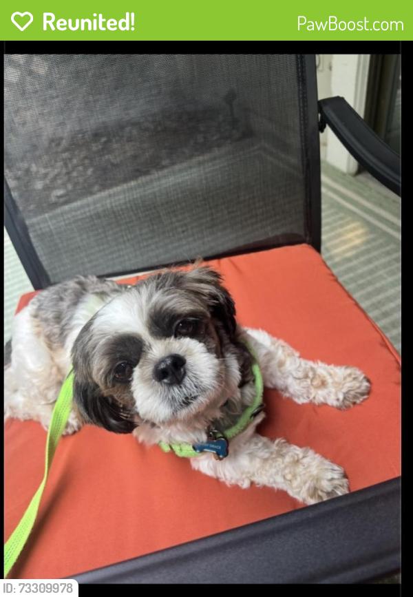 Reunited Female Dog last seen Evard Rd and Reed Rd, Fort Wayne, IN 46835