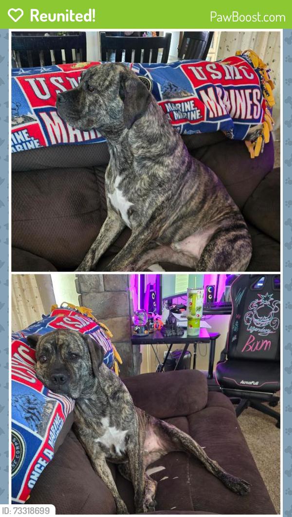 Reunited Male Dog last seen N 115th E Ave, Collinsville, OK 74021, USA, Collinsville, OK 74021