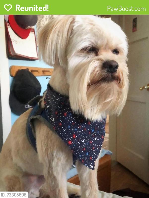 Reunited Male Dog last seen Franklin & Resevoir, Pomona, CA 91766